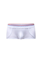 Boxer Morrier White