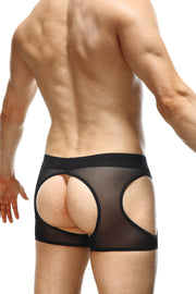 Boxer Mauny Jack-O-Lantern