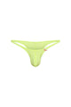 Bikini Plellis Absinthe