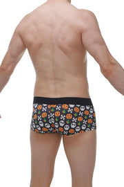 Boxer Algun Halloween