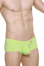 Boxer Bellac Absinthe