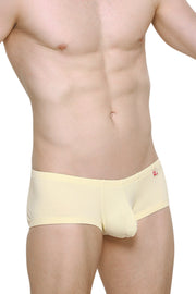 Boxer Bellac Custard
