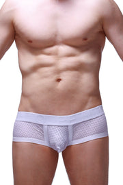 Boxer Brief Chill Bee White