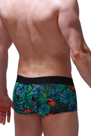 Boxer Chill Souarce Tropical
