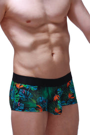 Boxer Chill Souarce Tropical