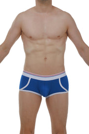 Boxer Morrier Blue