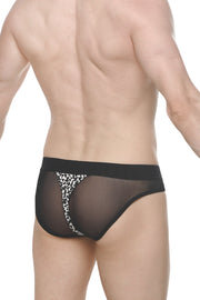 Brief Noth Reef Black