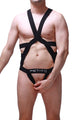 Jock Harness Champol