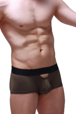 Boxer Aguts Olive