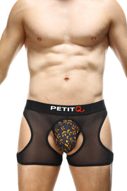 Boxer Mauny Jack-O-Lantern