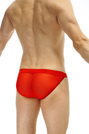 Bikini Tanga Sillas Net Red