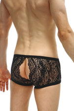 Boxer Plouhac Lace Black