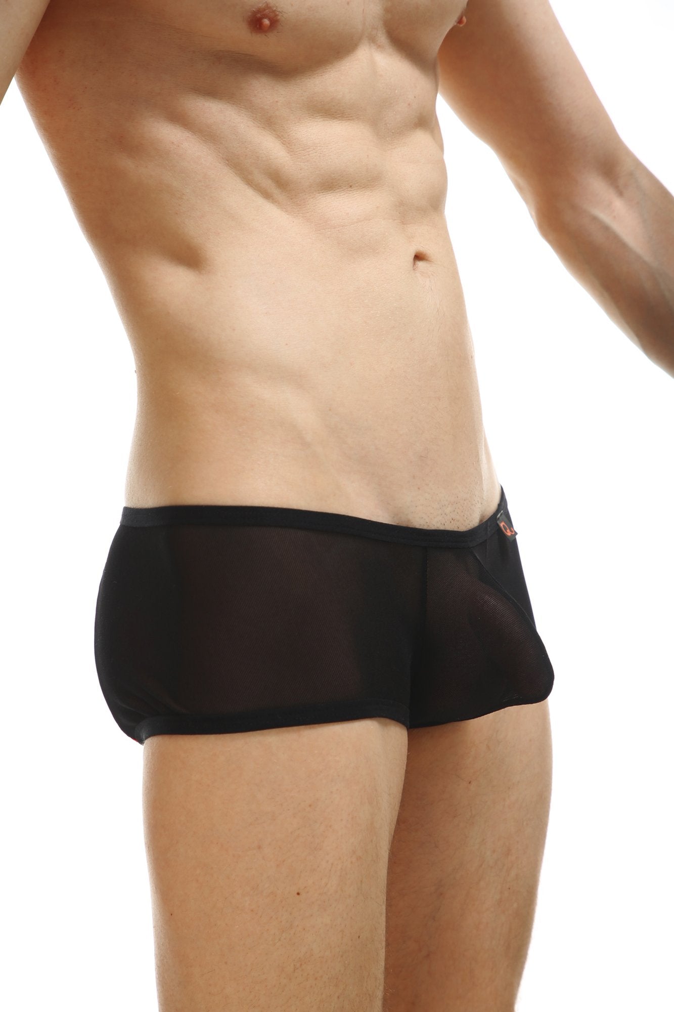 Transparent Micro Mesh Mens Underwear Briefs, See Through